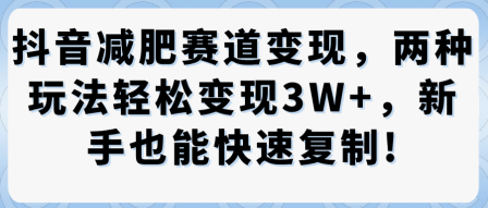 抖音减肥赛道变现，两种玩法轻松变现3W+，新手也能快速复制-赚金金-技能学习分享