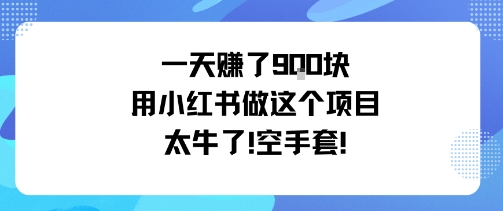 一天挣了9张用小红书做这个项目太牛了，空手套-赚金金-技能学习分享