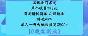 私域冷门赛道:单个收费198米引流模板简单人群精准转化45%单人一天大概收益是1k+-赚金金-技能学习分享