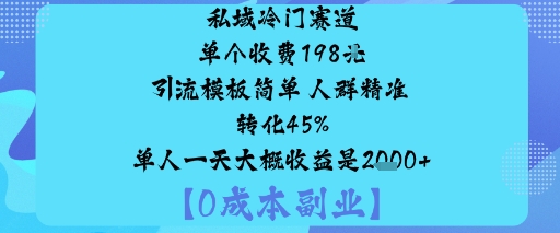 私域冷门赛道:单个收费198米引流模板简单人群精准转化45%单人一天大概收益是1k+-赚金金-技能学习分享