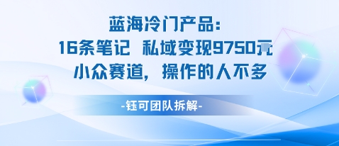 蓝海项目：16条笔记私域变现9750米小众赛道操作的人不多-赚金金-技能学习分享