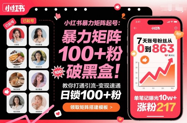 小红书暴力矩阵起号，教你打通引流-变现速通，日锁100+粉，破流量黑盒-赚金金-技能学习分享