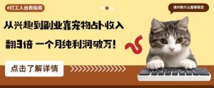 从兴趣到副业靠宠物占卜收入翻3倍一个月纯利润破W-赚金金-技能学习分享