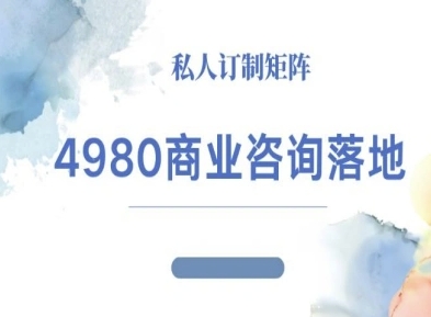 4980商业咨询师落地课程-ip运营高客单教程-赚金金-技能学习分享