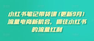 小红书笔记带货课(更新25年9月)流量电商新机会,抓住小红书的流量红利-赚金金-技能学习分享
