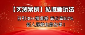 【实测案例】私域新玩法,日引30+精准粉,转化率50%,新人照做也能出单!-赚金金-技能学习分享