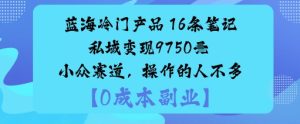 蓝海冷门产品:16条笔记私域变现9750米小众赛道,操作的人不多-赚金金-技能学习分享