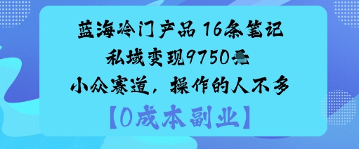 蓝海冷门产品：16条笔记私域变现9750米小众赛道，操作的人不多-赚金金-技能学习分享