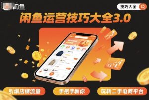 闲鱼运营技巧大全3.0,引爆店铺流量,手把手教你玩转二手电商平台-赚金金-技能学习分享