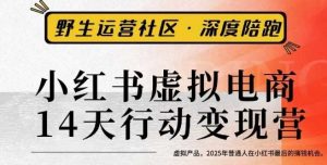 小红书虚拟电商14天变现训练营3.0,虚拟产品,2025年普通人在小红书最后的搞钱机会-赚金金-技能学习分享