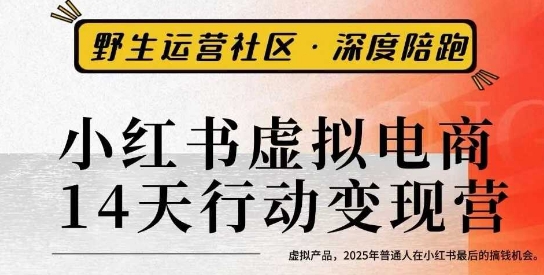 小红书虚拟电商14天变现训练营3.0，​虚拟产品，2025年普通人在小红书最后的搞钱机会-赚金金-技能学习分享