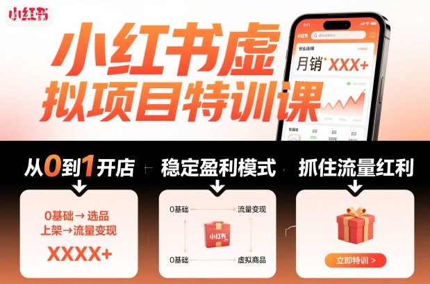 小红书虚拟项目特训课，帮你从0到1打造稳定盈利的店铺，抓住流量红利（更新9月）-赚金金-技能学习分享