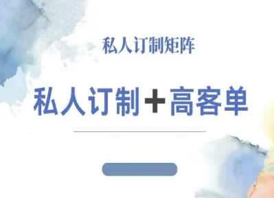 小红书自媒体咨询师IP教程，私人定制+高客单-赚金金-技能学习分享