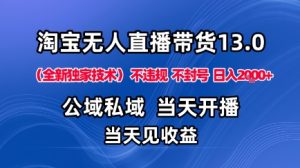 淘宝无人直播13.0,公域私域技术,不封号,不违规布局下半年旺季赛道,日入1K+(独家技术)【揭秘】-赚金金-技能学习分享