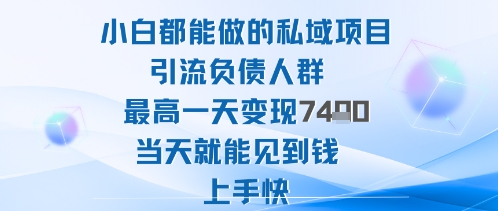 2025年小白都能做的私域项目引流负债人群最高一天变现1k+高变现难度低当天就能见到钱上手快-赚金金-技能学习分享