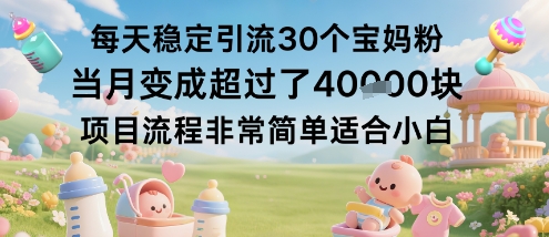 每天稳定引流30个宝妈粉当月变成超过了1W+项目流程非常简单适合小白-赚金金-技能学习分享