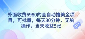 外面收费6980的全自动撸美刀项目,可批量,每天30分钟,无脑操作,当天收益5张【揭秘】-赚金金-技能学习分享