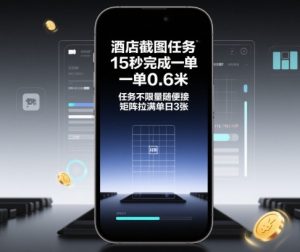 酒店截图任务,15秒完成一单,一单0.6米,任务不限量随便接,矩阵拉满单日3张【揭秘】-赚金金-技能学习分享