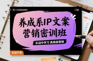 养成系IP文案营销密训班,实战中学习真高级营销-赚金金-技能学习分享
