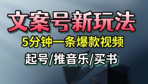 文案号新玩法，5分钟一条爆款视频，流量高，起号快，多方位变现-赚金金-技能学习分享