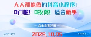 人人都能做的抖音小程序,0门槛0成本,适合新手-赚金金-技能学习分享