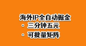 海外ip全自动掘金,2025必做蓝海项目,3分钟落地,矩阵直接开干【揭秘】-赚金金-技能学习分享