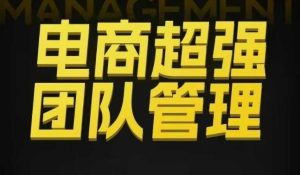 电商超强团队管理,组织绩效,到用人执行,分权合伙-赚金金-技能学习分享