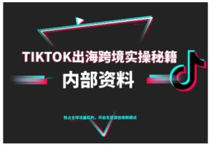 TikTok跨境电商0-1搭建运营,TK出海跨境实操秘籍(10月更新)-赚金金-技能学习分享