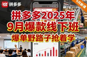 拼多多2025年9月爆款线下班,爆单野路子抢着学-赚金金-技能学习分享