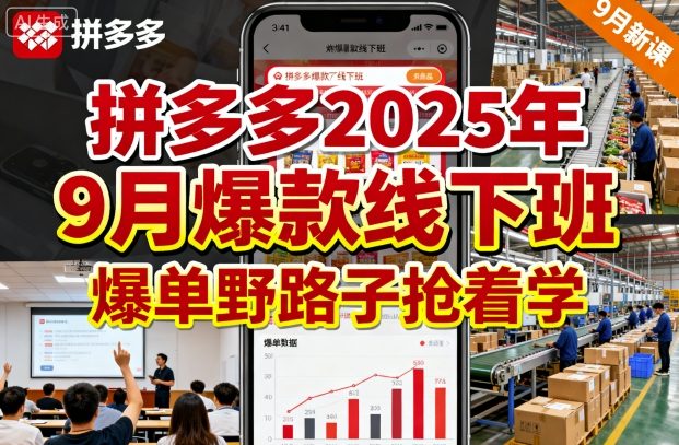 拼多多2025年9月爆款线下班，爆单野路子抢着学-赚金金-技能学习分享