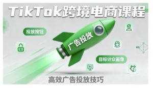 TikTok跨境电商全流程实操课,助力从业者掌握TikTok跨境电商运营核心技能,高效开展业务-赚金金-技能学习分享
