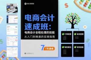 电商会计速成班,电商会计全程处理的技能-赚金金-技能学习分享