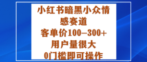 小红书暗黑小众情感赛道,客单价100-300+用户量很大,0门槛即可操作-赚金金-技能学习分享
