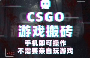 CSGO游戏挂G捡漏,单日扫货5张+,年底小高峰上车可吃肉,手机即可操作,兼职副业创业网创【揭秘】-赚金金-技能学习分享