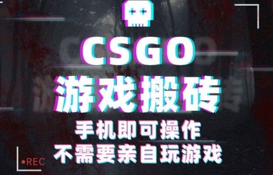 CSGO游戏挂G捡漏，单日扫货5张+，年底小高峰上车可吃肉，手机即可操作，兼职副业创业网创【揭秘】-赚金金-技能学习分享