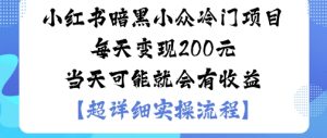 小红书暗黑小众冷门项目每天变现2张当天可能就会有收益-赚金金-技能学习分享