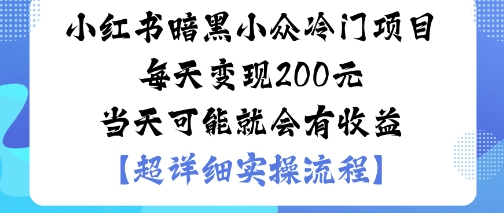 小红书暗黑小众冷门项目每天变现2张当天可能就会有收益-赚金金-技能学习分享