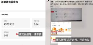 游戏加速器项目4.0_最新打法思路(爱玩游戏也能边玩边被动收益)-赚金金-技能学习分享