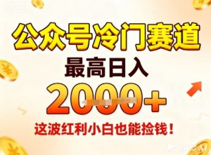 公众号冷门赛道，最高日入1k+，这波红利小白也能捡钱！-赚金金-技能学习分享