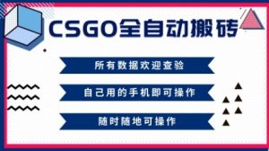 CSGO全自动搬砖，年底钱回家好项目，当天可拿到结果，新手小白轻松月入1W+【揭秘】-赚金金-技能学习分享