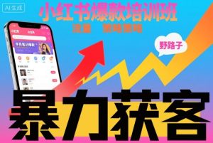 小红书爆款培训班，小红书获客野路子流量打法，暴力持续获客-赚金金-技能学习分享