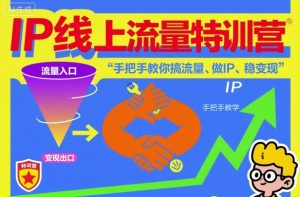 IP线上流量特训营，手把手教你搞流量、做IP、稳变现-赚金金-技能学习分享