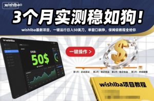 3个月实测稳如狗！wishlba最新项目，一键运行日入50美刀，单窗口躺挣，保姆级教程全给你【揭秘】-赚金金-技能学习分享
