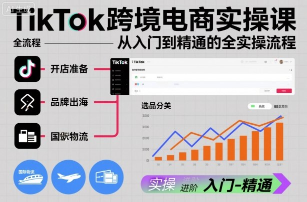 TikTok跨境电商实操课，从入门到精通的全实操流程-赚金金-技能学习分享