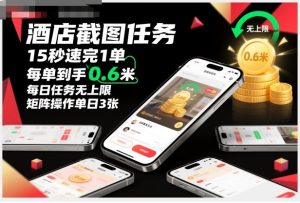酒店截图任务,15秒速完1单,每单到手0.6米,每日任务无上限,全网首发玩法,矩阵操作单日3张【揭秘】-赚金金-技能学习分享