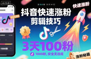 抖音快速涨粉剪辑技巧，3天1000粉，安全无违规-赚金金-技能学习分享