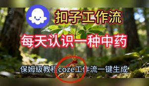Coze扣子工作流一键生成每天认识一种中药短视频,保姆级搭建教学-赚金金-技能学习分享