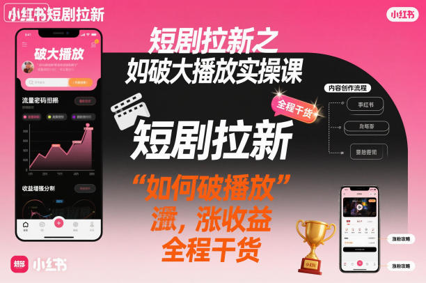 短剧拉新之小红书如何破大播放实操课，如何破播放，涨收益，全程干货-赚金金-技能学习分享