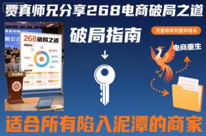 贾真师兄分享268电商破局之道-适合所有陷入泥潭的商家-赚金金-技能学习分享