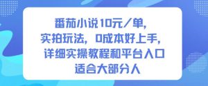 番茄小说10米每单,实拍玩法,0成本好上手,详细实操教程和平台入口适合大部分人-赚金金-技能学习分享
